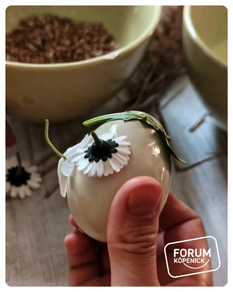 Osterdeko basteln - Forum Köpenick Trend